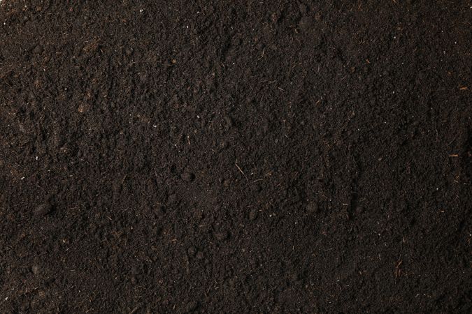 Dark soil as background, space for text and top view. Environmental protection. Agriculture