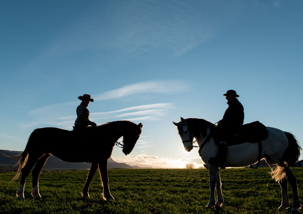 People riding horses