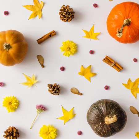 Colorful autumn pattern made of pumpkins, leaves and flowers