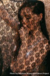 Portrait of woman with face under textured dark lace bDjGV5