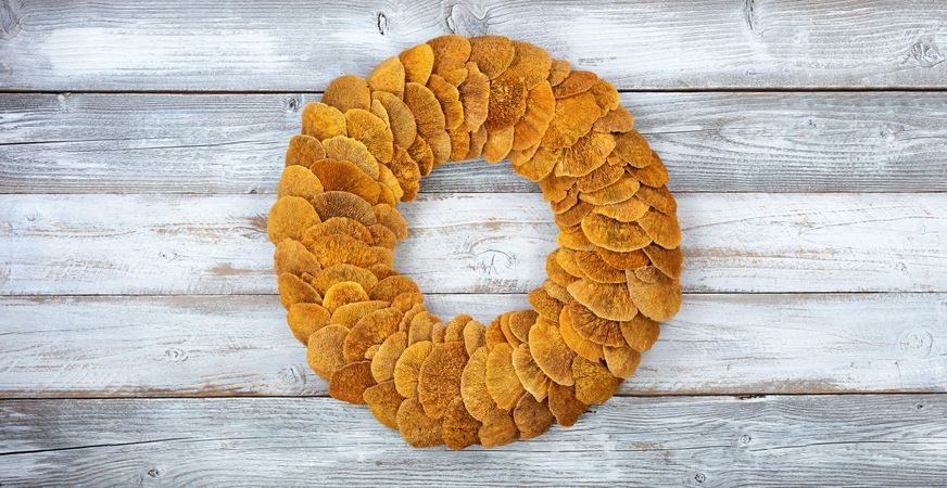Wreath made of natural fungi or mushroom on rustic wood background