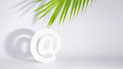 Internet “at” symbol under palm leaf