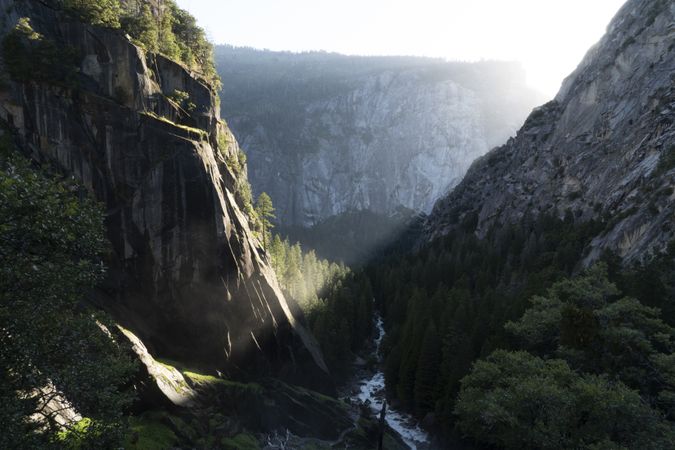 Scenic canyon covered with forest in sunshine