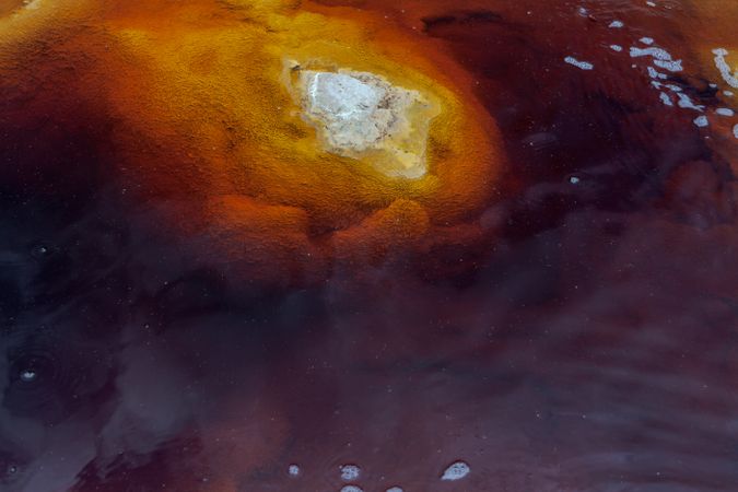 Bright orange splashes in nature