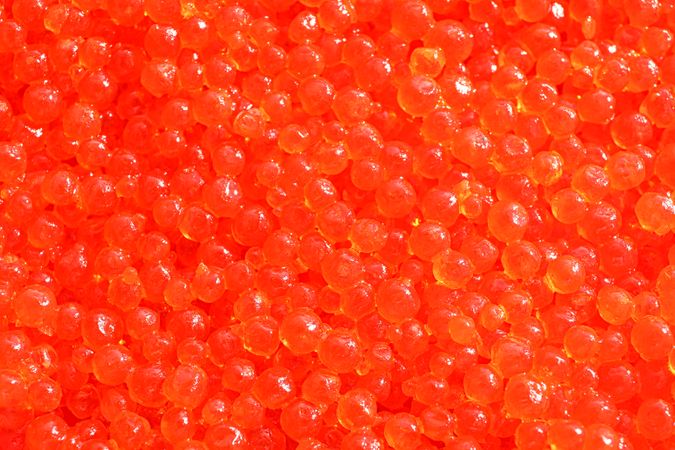 Delicious red caviar as background, close up