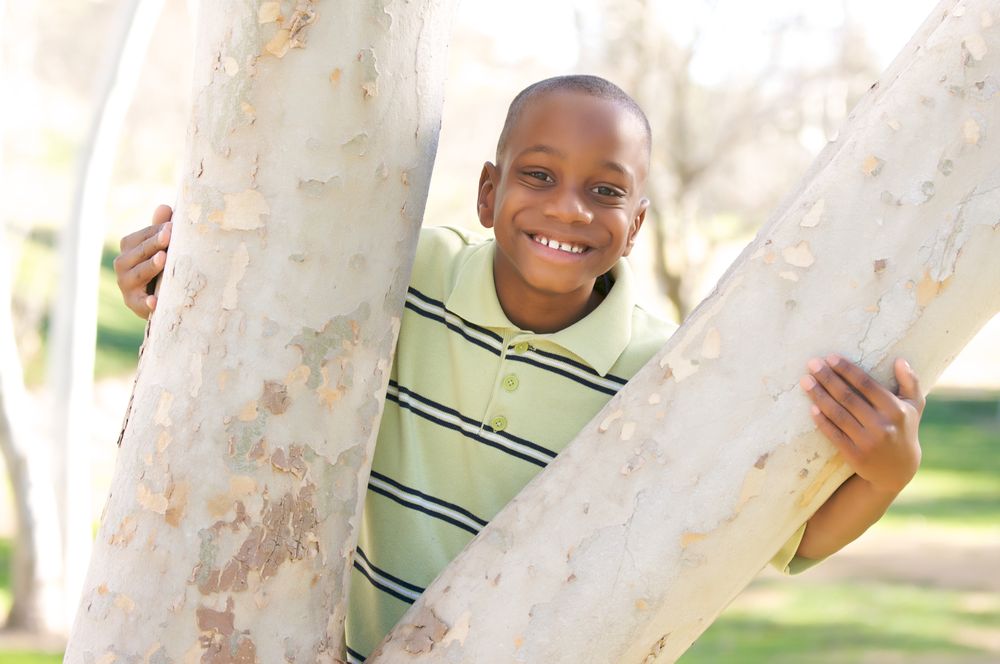 Young Boy Smiling Between Split Tree