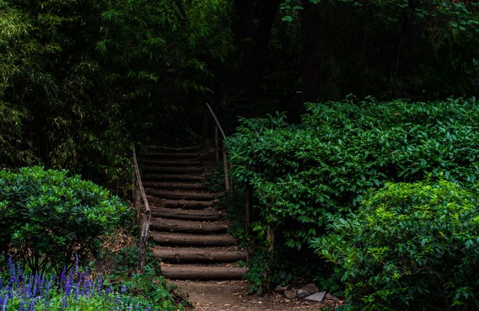 Lush green landscape with old stairway