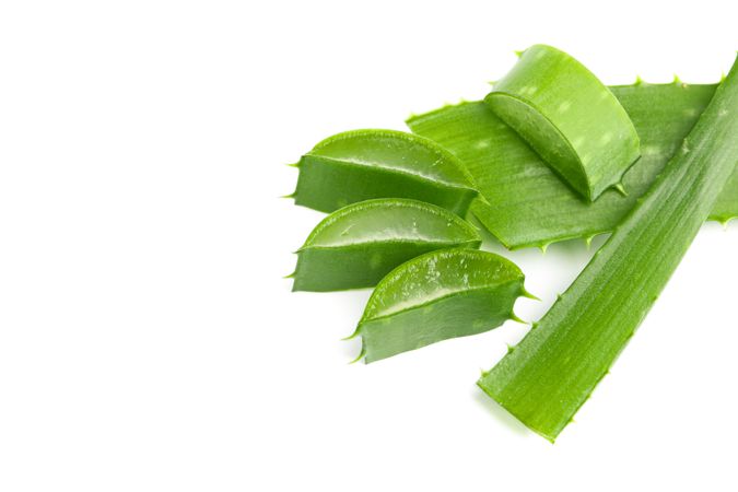 Aloe vera slices isolated on blank background. Herbal medicine