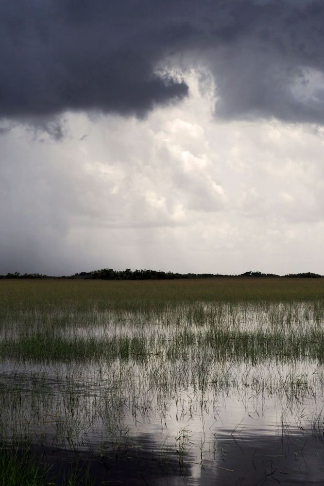 Storm on the Horizon: Overlooking the Everglades Marsh Under a Brooding Sky