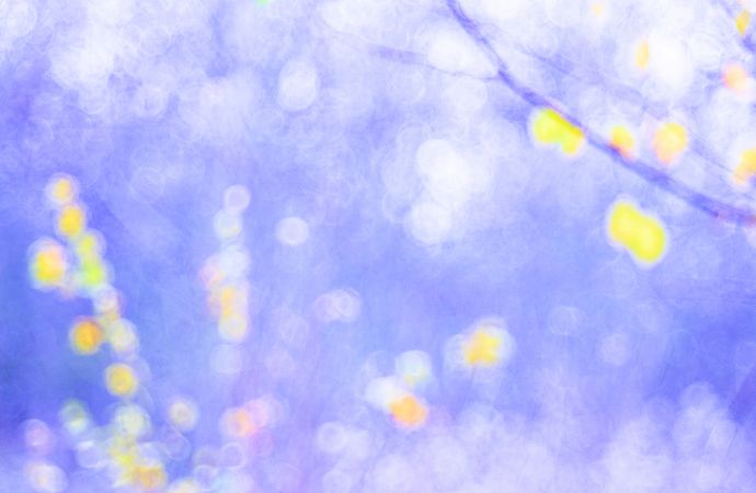 Tender dry leaves in blue light effect