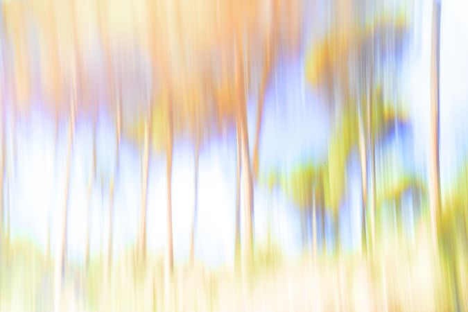 Abstract multicolored blurred background
