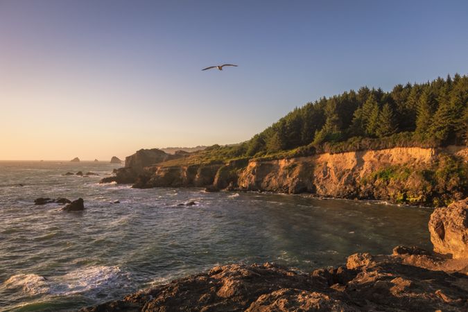 Beautiful cove with bird flying above