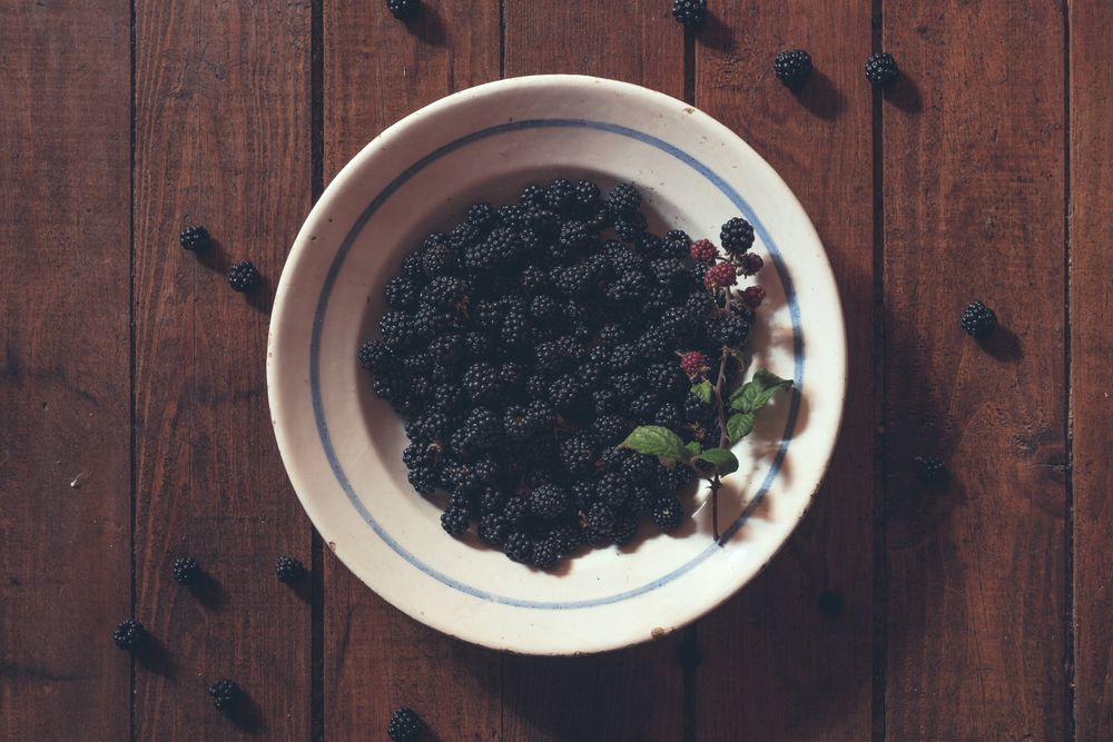 Ripe blackberries garnished by leaves in bowl