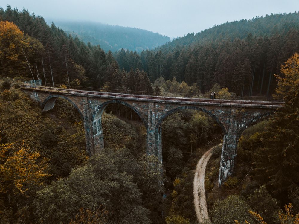 Gray concrete bridge surrounded by green trees