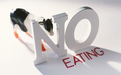 Concept of calling to stop eating animals