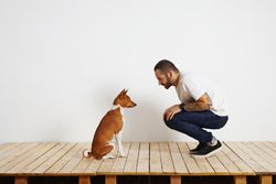 Casual, tattooed man crouching down and talking to dog