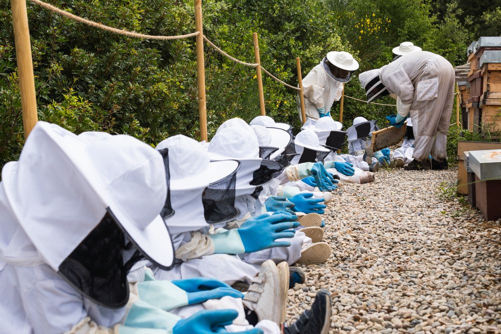 Beekeeper showing honeycomb to group of kids in apiary