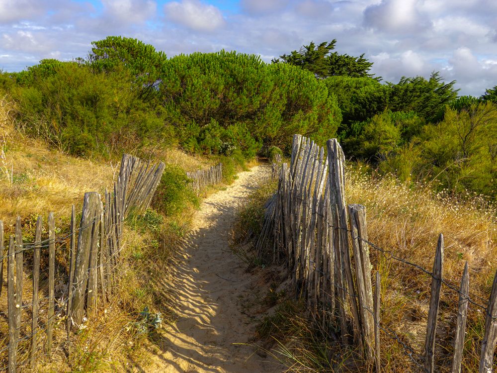 The coastal path at dawn, La Couarde sur Mer, France