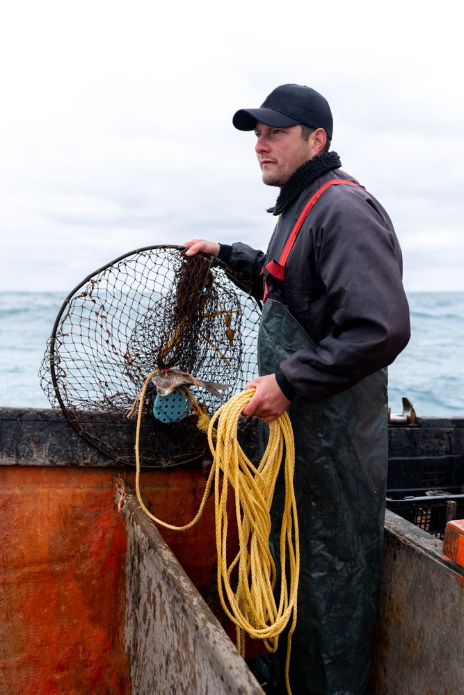 Fisherman working retreating a net from water