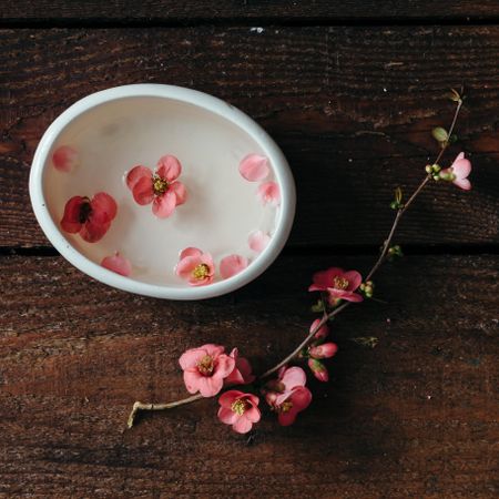 Cherry blossom twig with water bowl on wooden table