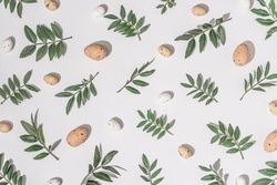Green branches and brown eggs scattered on light background