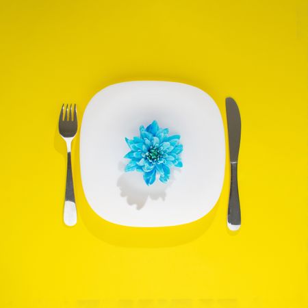 Blue flower on plate on yellow background
