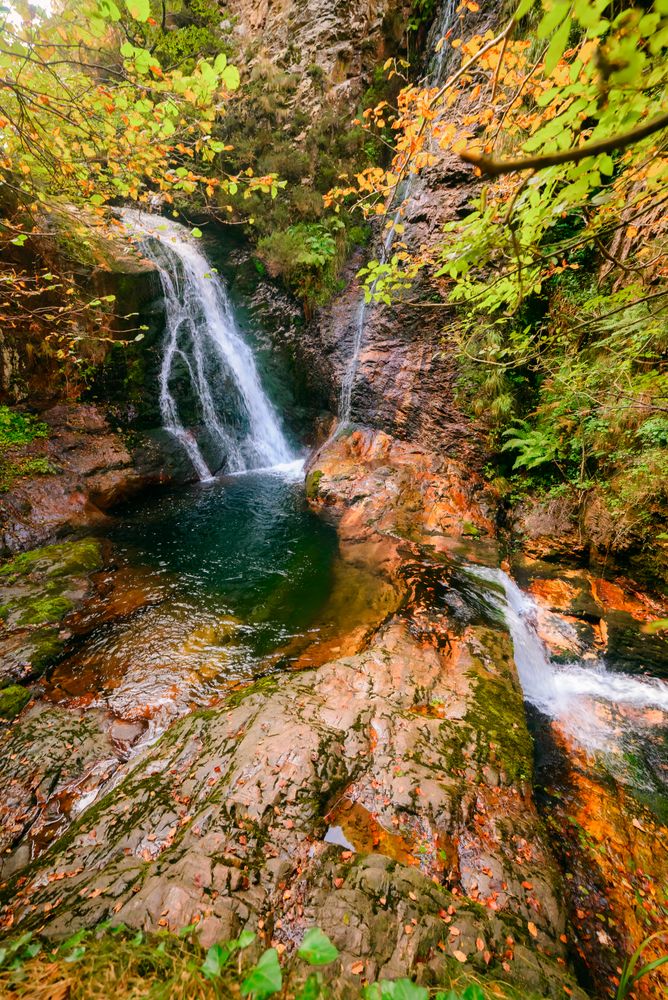 Small river and waterfall flowing in green dark beautiful forest.