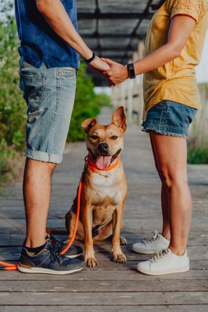 Happy adult couple relaxing with dog at countryside