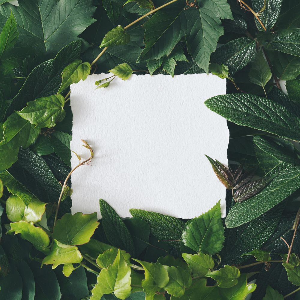 Creative arrangement made with natural spring leaves with paper card note