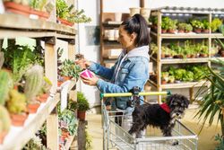 Female customer holding potted plants and dog in trolley