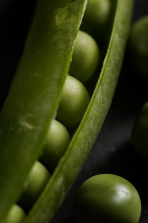 Fresh peas and pea pods on dark background