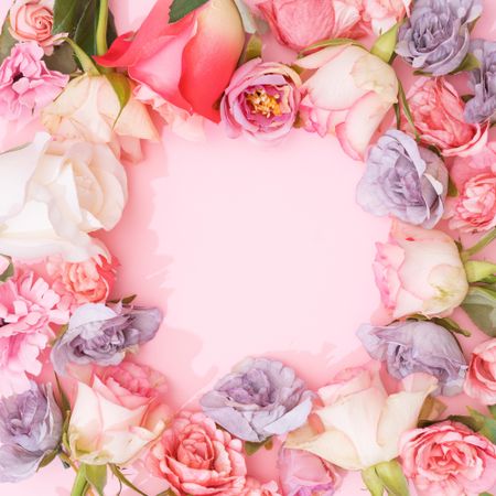 Creative spring background composition colorful flowers on pink background