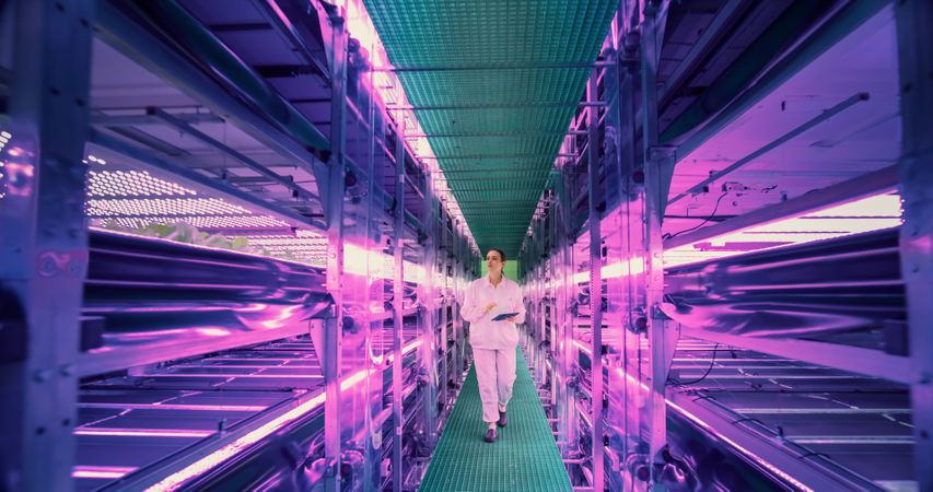 Female Agricultural Scientist Walking in a Vertical Farm Facility Next to Racks with Fresh Natural Crops. Hydroponics Technician Using a Tablet Computer, Studying and Cultivating Plants
