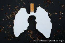 Ripped paper in lung shape with cigarette and tobacco on dark background 47vyk5
