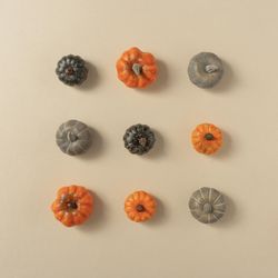 Autumn pumkins flat lay background