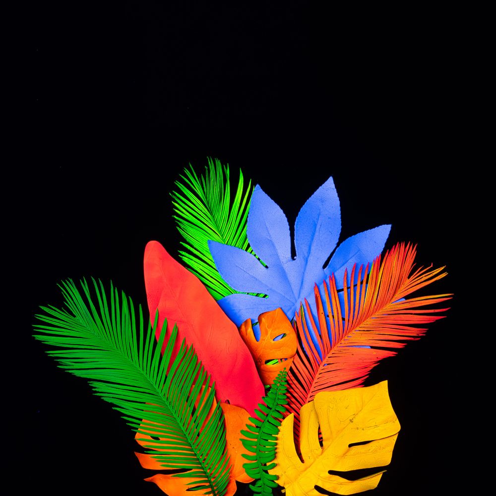 Neon tropical leaves layout in vivid  fluorescent colors on dark background