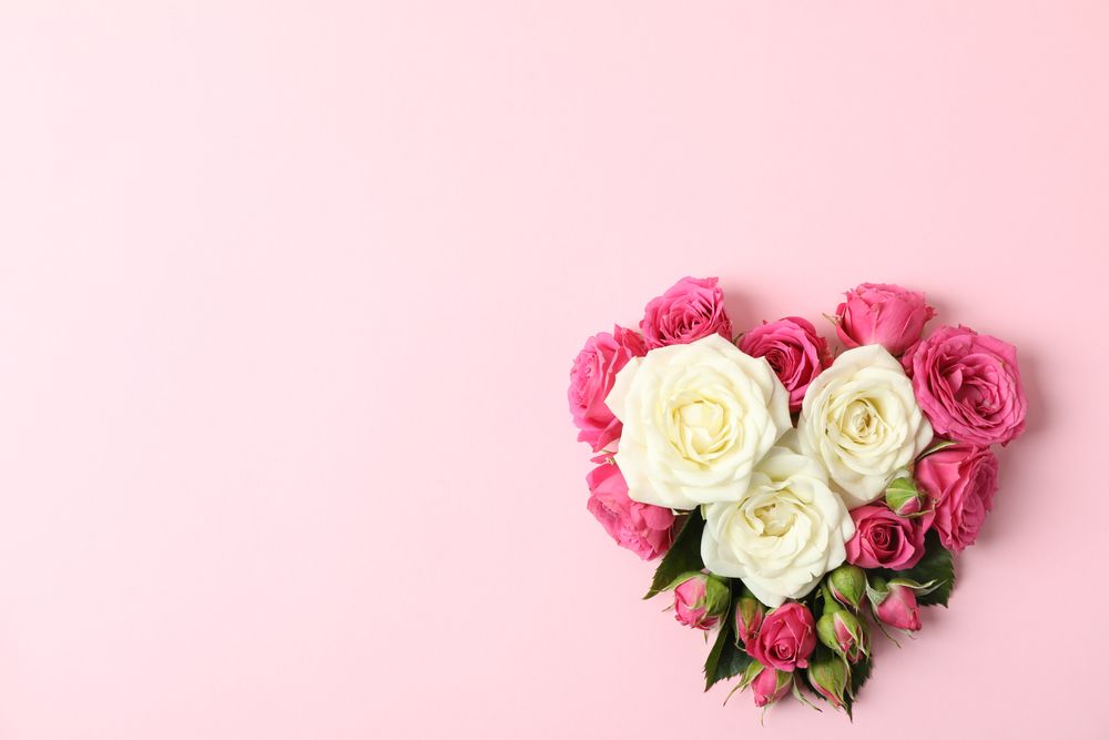 Beautiful roses in shape of heart on color background, space for text