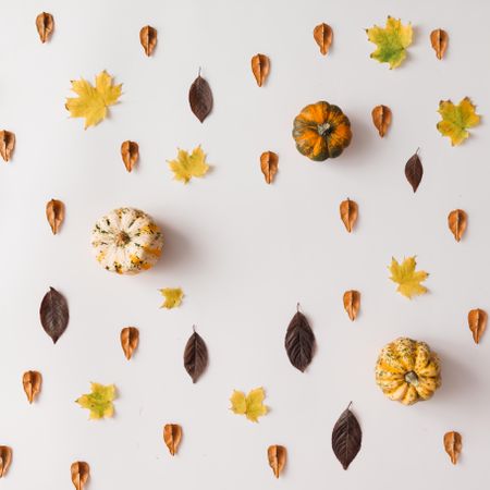 Autumn leaves pattern on light background with squash