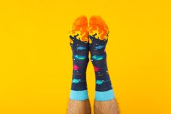 Concept of clothes for legs - socks, socks on male legs
