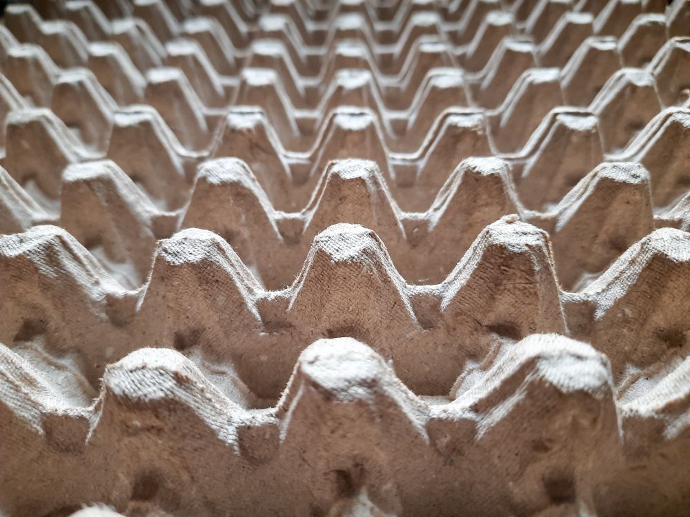 Close Up Texture of Cardboard Egg Tray