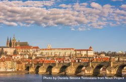 Charles Bridge in Prague  Czech Republic 0VDNX4