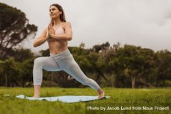 Fitness woman practicing yoga in a park 56lxeb