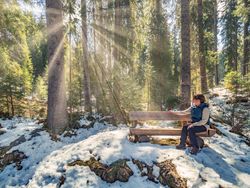 Woman sitting on bench and looking at sun rays passing through trees