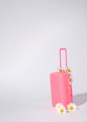 Cute toy of a pink suit case with daisies