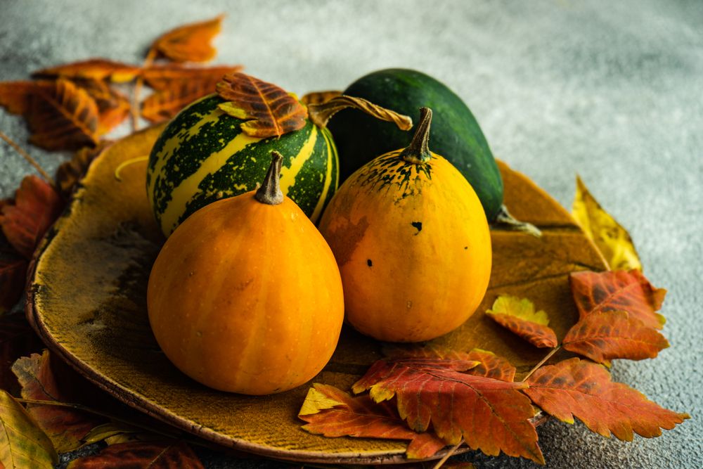 Bowl with autumn gourds and leaves
