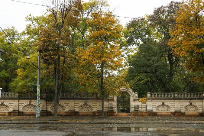 Rainy, autumn, city park in the morning