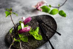 Dark plate with magnolia flowers on grey table