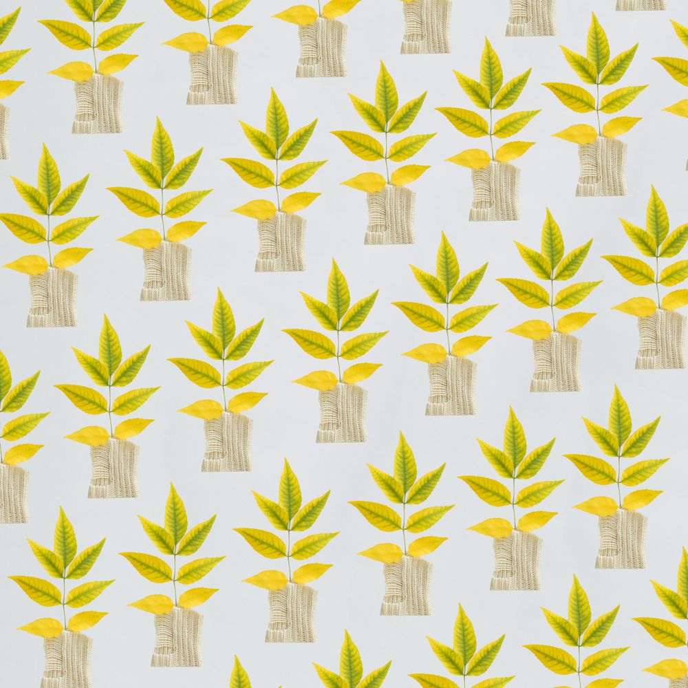 Pattern of green yellow autumn leaves on side of a bright background