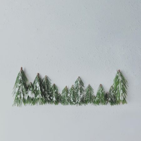 Evergreen snowy pine forest treeline made of tree branches