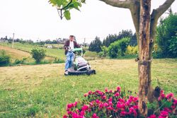Mature man mowing the lawn with lawnmower